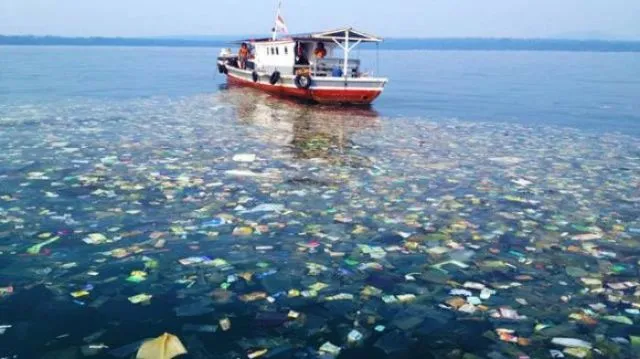 Raisa Kepincut Sama Kontribusi Hamish buat Laut Indonesia. Bener Sih, Kondisi Perairan Kita Darurat 9