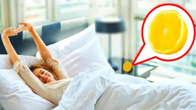 6 Manfaat Menaruh Irisan Lemon di Dekat Ranjang, dari Bantu Pernapasan Sampai Bikin Sehat Badan 12