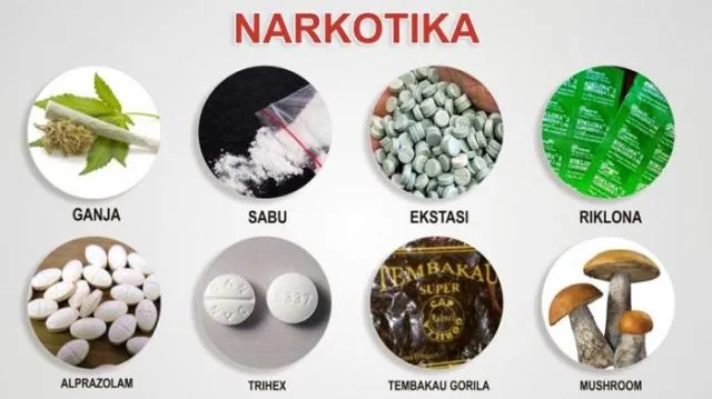 Indonesia Lagi Jadi Target Serangan Bandar Narkoba Internasional. Simak Biar Kamu Tetap Waspada! 8