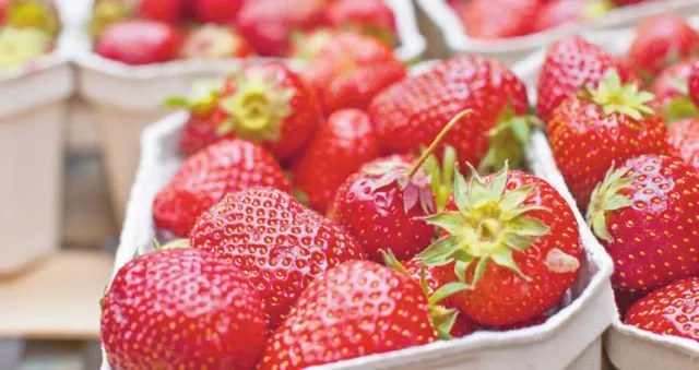 Inovasi Baru dari Jepang Ini, Bakal Cocok Banget di Indonesia! Ada Es Krim yang Anti Leleh Coba.... 4