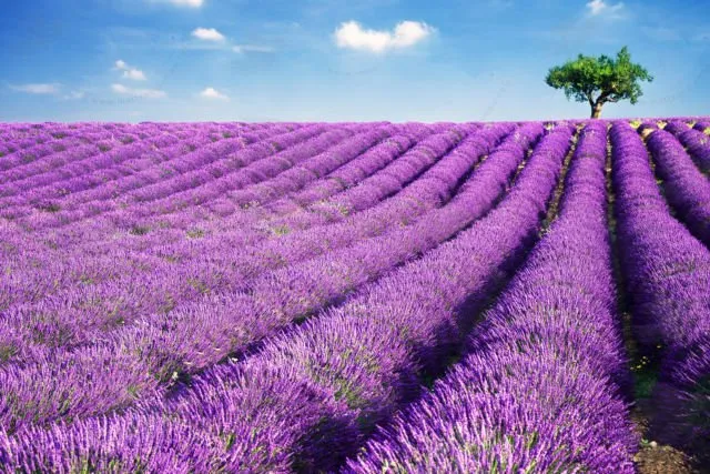 12 Warna Spektakuler di Dunia Ini Tercipta Berkat Kekuatan Alam. Murni Natural dan Bukan Rekaan! 17