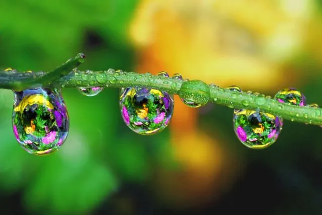 Biar Foto di Instagram Makin Keren, Kamu Bisa Coba Trik Tetesan Air di Foto Kamu! 24