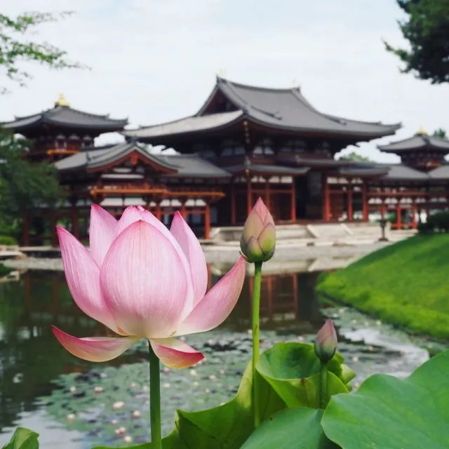 15 Destinasi Instagrammable Ini Harus Kamu Kunjungi Saat Berlibur di Jepang! Bikin Enggan Pulang 23