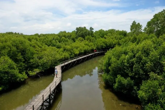 Saat Kamu Bosan Dengan Gerahnya Surabaya, Yuk Kunjungi Wisata Alam Indah yang Ada di Sana! 7