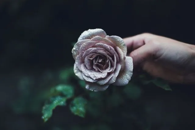 Biar Foto di Instagram Makin Keren, Kamu Bisa Coba Trik Tetesan Air di Foto Kamu! 17