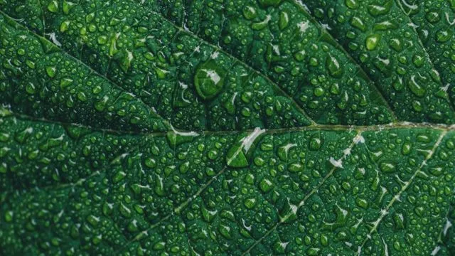 Biar Foto di Instagram Makin Keren, Kamu Bisa Coba Trik Tetesan Air di Foto Kamu! 16