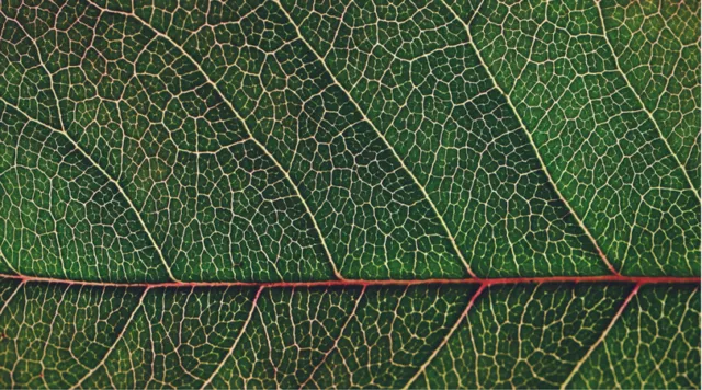 Biar Foto di Instagram Makin Keren, Kamu Bisa Coba Trik Tetesan Air di Foto Kamu! 15
