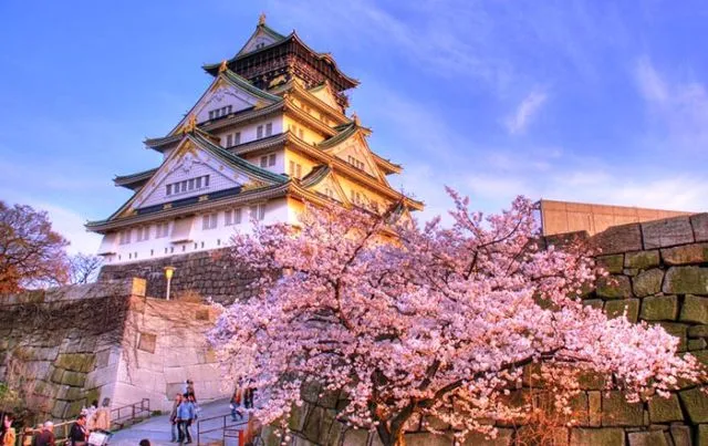 15 Destinasi Instagrammable Ini Harus Kamu Kunjungi Saat Berlibur di Jepang! Bikin Enggan Pulang 20