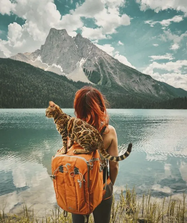 Suki, Si Kucing Traveler yang Hits di Instagram. Foto-Fotonya Keren dan Bikin Gemas 18