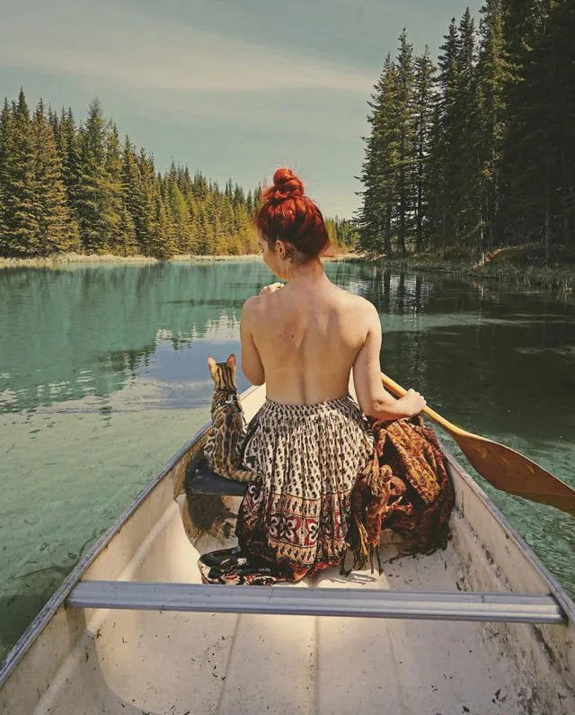 Suki, Si Kucing Traveler yang Hits di Instagram. Foto-Fotonya Keren dan Bikin Gemas 24