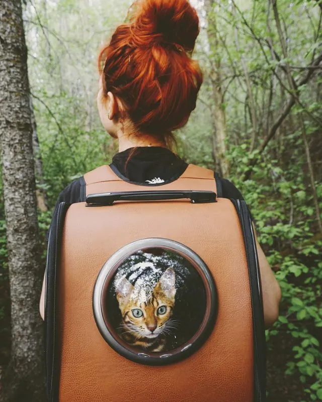 Suki, Si Kucing Traveler yang Hits di Instagram. Foto-Fotonya Keren dan Bikin Gemas 21
