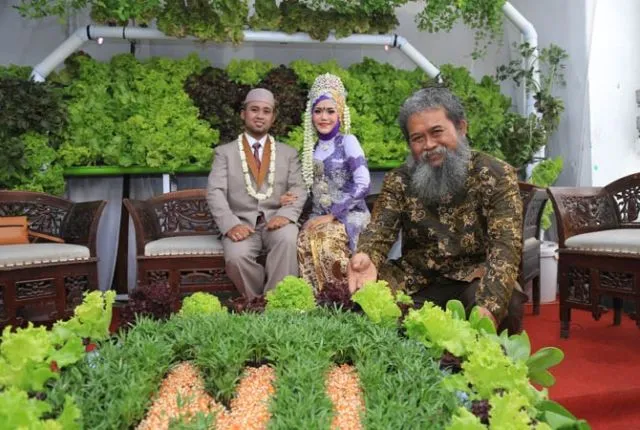 Bukan Hanya Viral Buat Dekor Nikah, Ini 11 Alasan Kenapa Kamu Wajib Tahu Soal Hidroponik 12