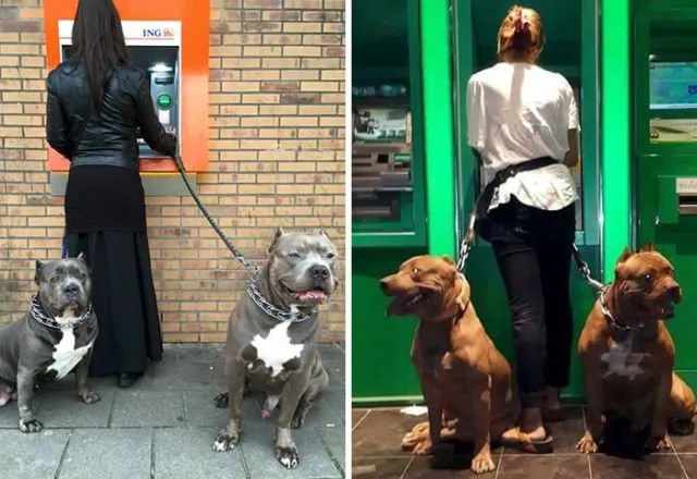 12 Bentuk ATM Paling Aneh dari Seluruh Dunia. Bikin Heran dan Bikin Ngakak Juga 23