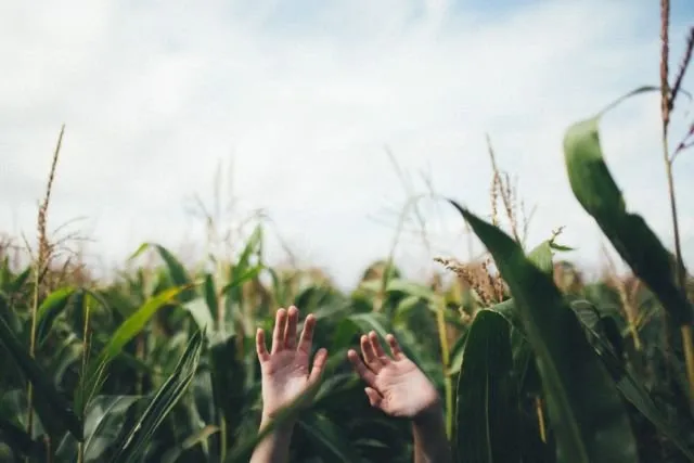 Kuliah di Pertanian Nggak Semudah Main 'Harvest Moon'. Apalagi Pas Cari Kerja, Beuh! 5