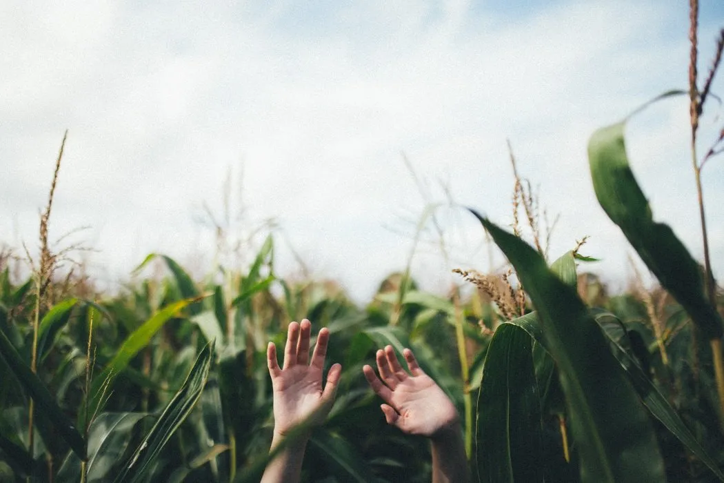 Kuliah di Pertanian Nggak Semudah Main ‘Harvest Moon’. Apalagi Pas Cari Kerja, Beuh!