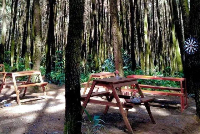 Daftar Wisata Alam di Bogor Selain Puncak yang Menarik 6 wisata di bogor selain puncak