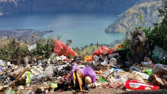 7 Kelakuan Buruk Turis China dan Indonesia yang Nggak Jauh Beda. Jangan Kamu Tiru Ya! 17