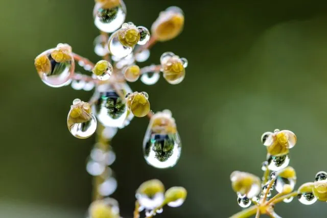 Biar Foto di Instagram Makin Keren, Kamu Bisa Coba Trik Tetesan Air di Foto Kamu! 22