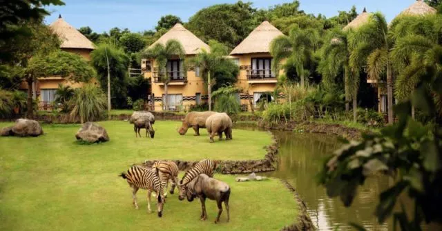 8 Hotel Unik di Bali yang Bikin Kamu Enggan Pulang. Cocok Dinikmati Bersama Pasangan 14