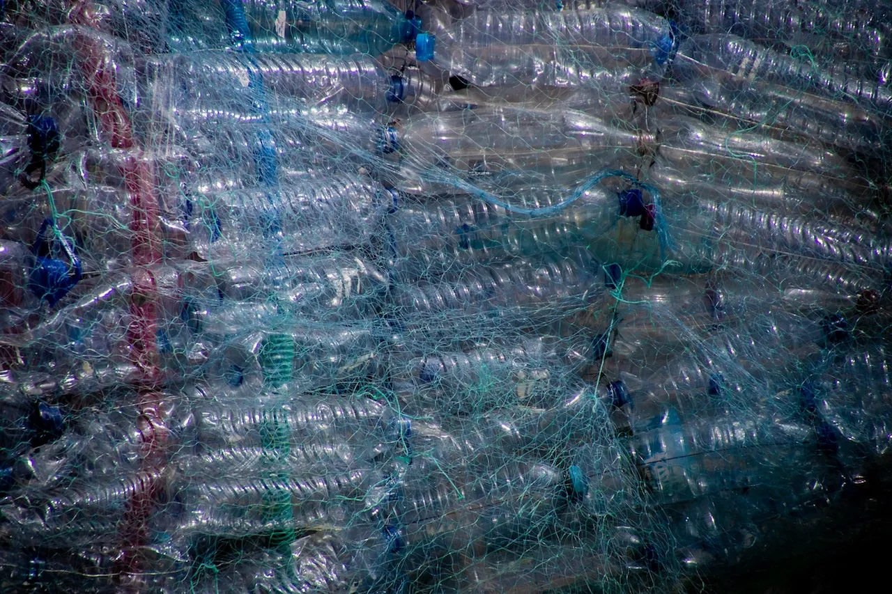 Ooh Jadi Ini Arti Simbol Segitiga di Bawah Botol atau Kemasan Plastik? Rugi Kalau Sampai Nggak Tahu 8