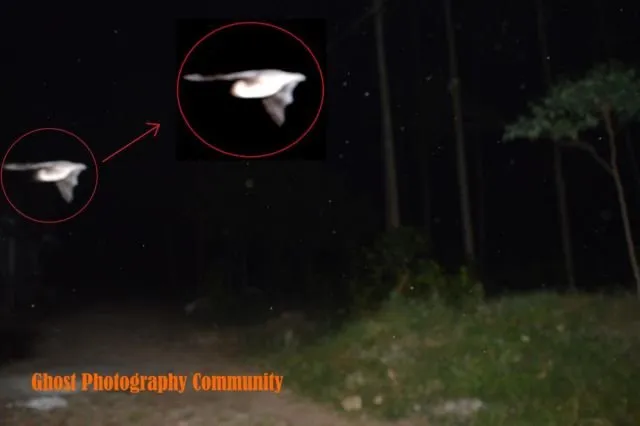 Kisah-Kisah Horor dari Rumah yang Jadi Lokasi Syuting Pengabdi Setan. Rumahnya Serem Abis 6