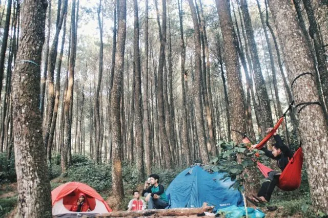 Daftar Wisata Alam di Bogor Selain Puncak yang Menarik 5