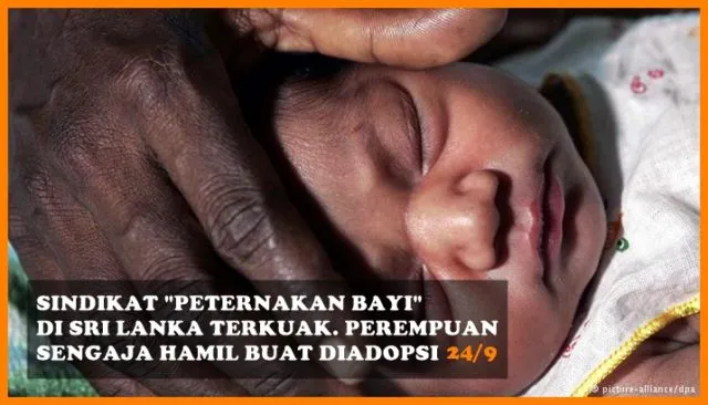 Dari Peternakan Bayi Sampai Boneka Nikita Mirzani, Berikut Sederet Berita Populer Minggu Ini 11