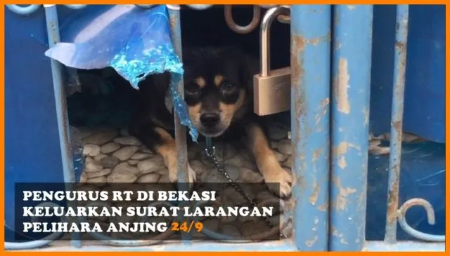 Dari Peternakan Bayi Sampai Boneka Nikita Mirzani, Berikut Sederet Berita Populer Minggu Ini 13