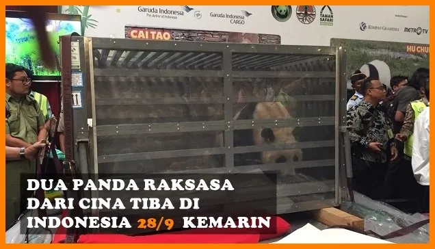 Dari Peternakan Bayi Sampai Boneka Nikita Mirzani, Berikut Sederet Berita Populer Minggu Ini 19