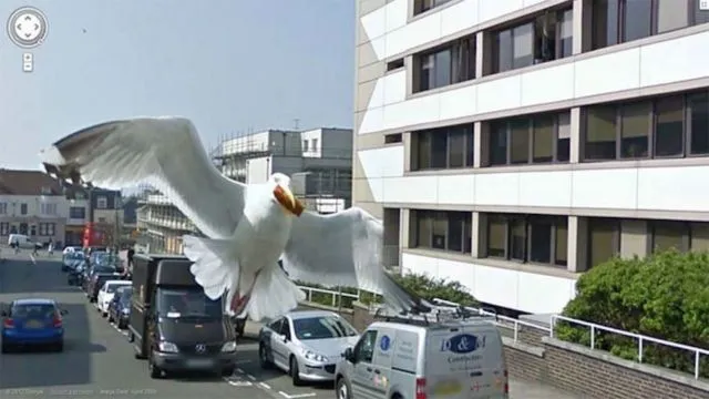 15 Foto Aneh yang Tertangkap oleh Google Maps. Ngeri Banget Sih 28