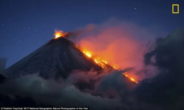 12 Foto Menakjubkan dari Kompetisi Foto National Geographic. Kualitasnya Level Dunia! 15
