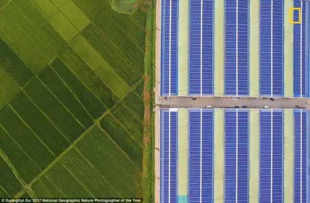 12 Foto Menakjubkan dari Kompetisi Foto National Geographic. Kualitasnya Level Dunia! 16