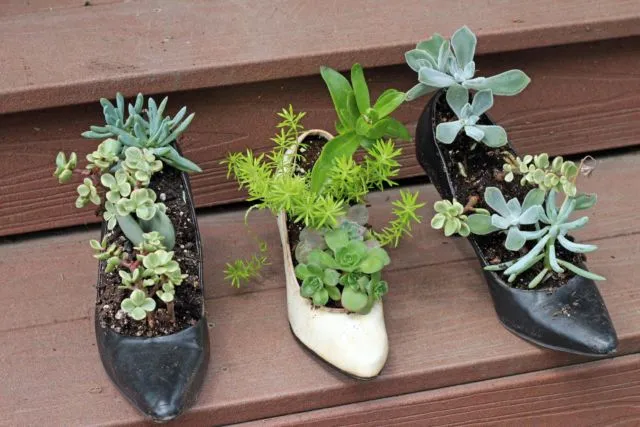 15 Kreasi Pot Tanaman dari Barang Bekas Ini Sungguh Unik dan Layak Coba! 23