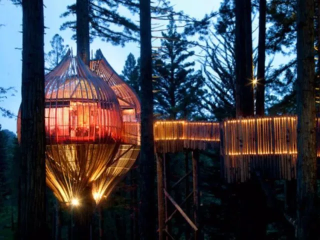 12 Rumah Pohon untuk Bulan Madu Bersama Pasangan. Romantis Abis! 21
