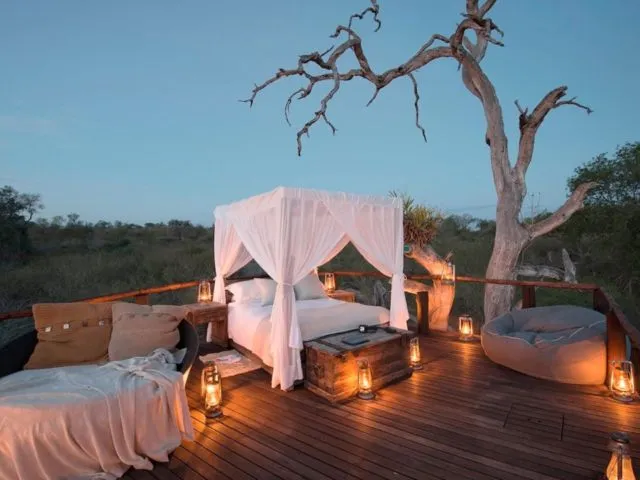 12 Rumah Pohon untuk Bulan Madu Bersama Pasangan. Romantis Abis! 15