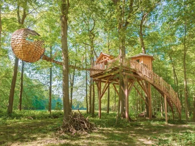12 Rumah Pohon untuk Bulan Madu Bersama Pasangan. Romantis Abis! 18