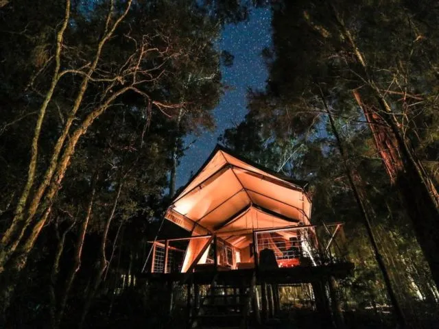 12 Rumah Pohon untuk Bulan Madu Bersama Pasangan. Romantis Abis! 22
