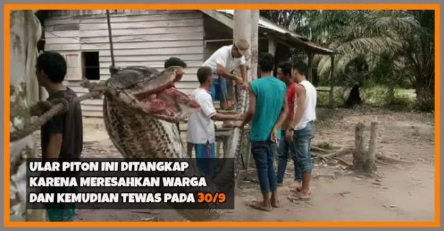 Daftar Berita Populer Minggu Ini. Yuk Baca, Jangan Cuek Sama Informasi 17