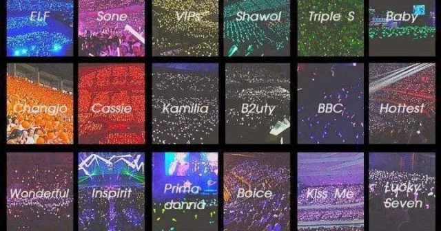 Ini Alasan Logis Kenapa K-Pop Bisa Buat Orang Gila dan Suka Lebay 9