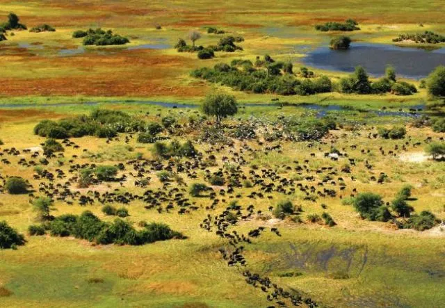 10 Situs Warisan Dunia UNESCO yang Jarang Kita Tahu. Padahal Keren Banget! 15