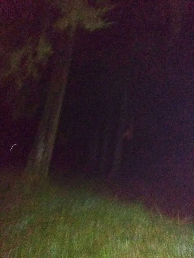 Menguak Misteri di Rumah 'Ibu' Pengabdi Setan. Ternyata Rumahnya Beneran Seram! 10