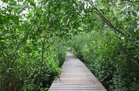 4 Tempat Wisata di Medan yang Instagrammable Banget. Yuk Main ke Sini! 6