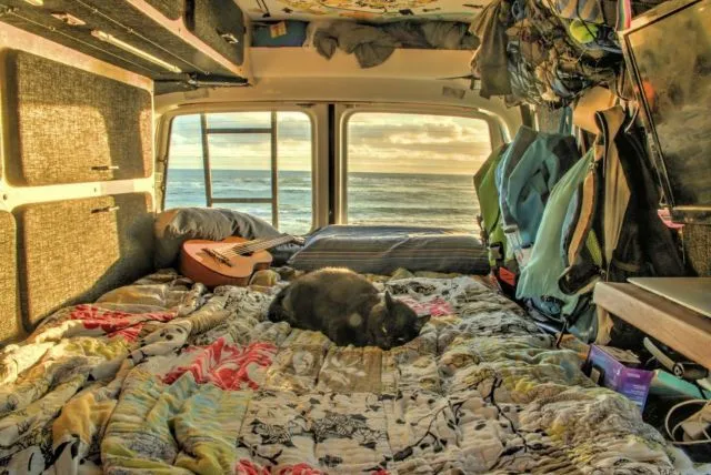 Resign dari Kerja dan Jual Rumah, Cowok Ganteng Ini Traveling Bersama Kucingnya! 15