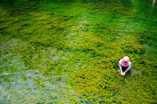 3 Tempat Wisata Alam di Malang yang Penuh Pesona. Kamu Wajib Main ke Sana! 7