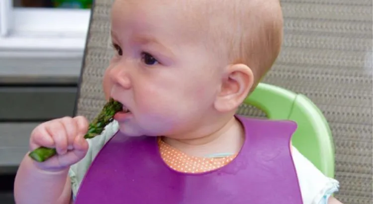 7 Tips Memberi Makan Bayi Saat Dia Melakukan Aksi Gerakan Tutup Mulut (GTM) 13