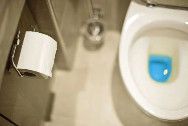 Waspadai Kesehatanmu dari 7 Jenis Warna Urine Ini. Mulai Tanda Dehidrasi Hingga Gejala Lever Dibahas di Sini 15