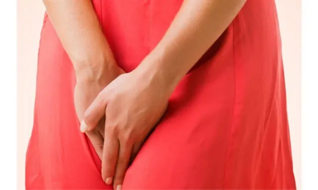 Segudang Manfaat Daun Sirih, Si Hijau Kecil yang Bantu Menstruasi dan Miss V-mu Jadi Lebih Terawat 6