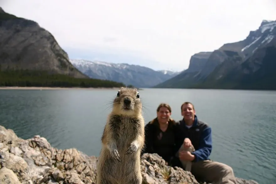 Dari yang Sengaja Sampai Nggak, 18 Potret Photobomb Ini Bikin Ngakak 28