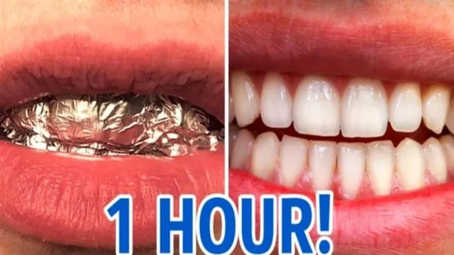 20 Fungsi Aluminium Foil dari Putihkan Gigi Hingga Perkuat Sinyal Wifi 32