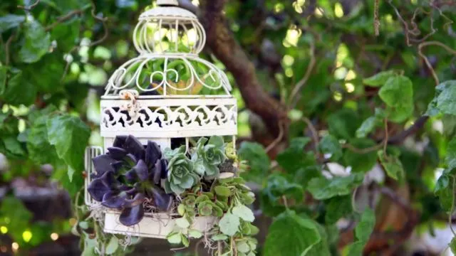 15 Kreasi Pot Tanaman dari Barang Bekas Ini Sungguh Unik dan Layak Coba! 24
